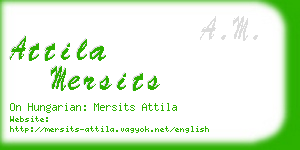 attila mersits business card